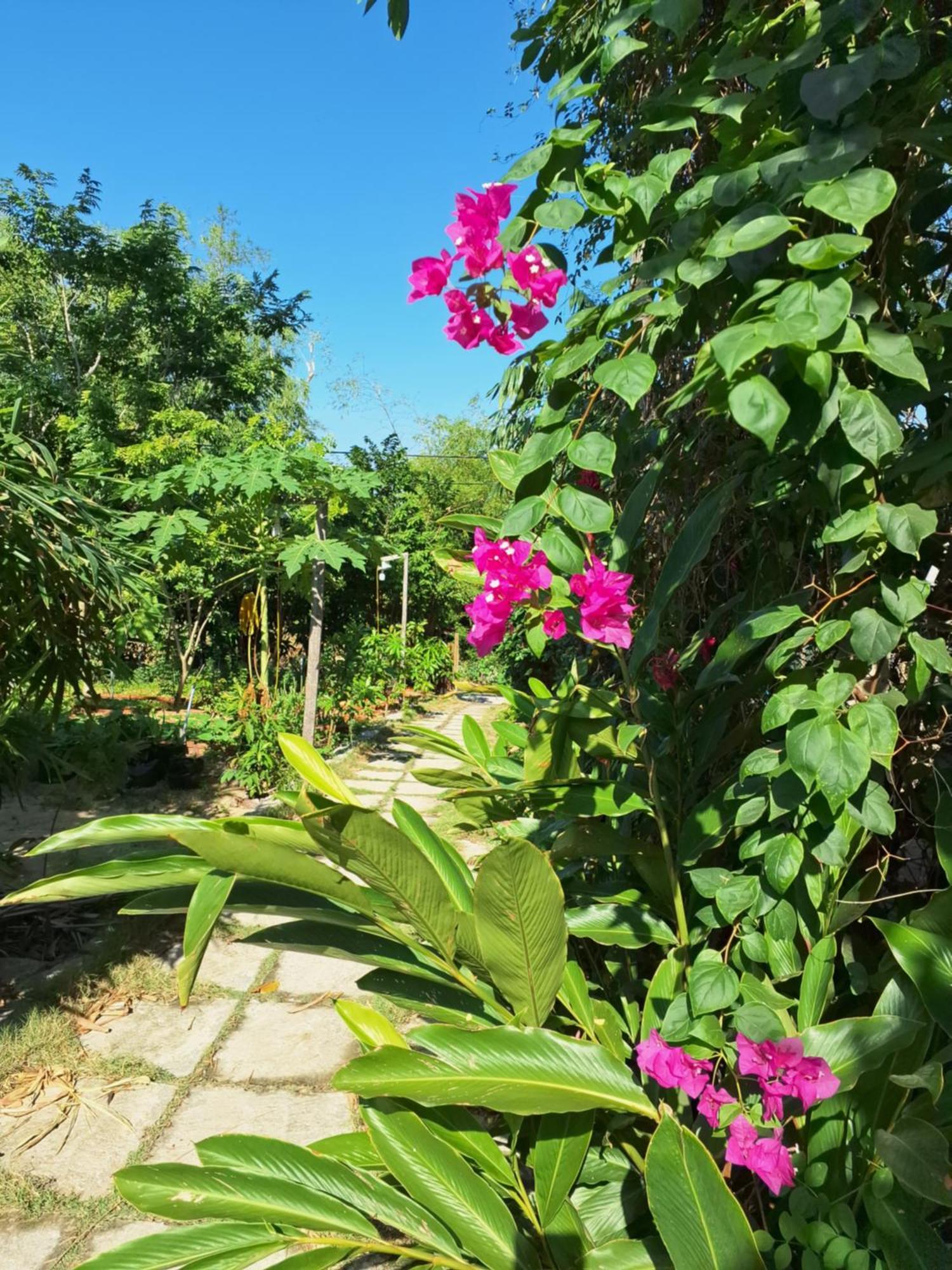 Homestay Dat Phu Туїхоа Екстер'єр фото